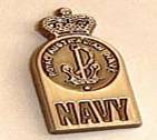 Lapel pin