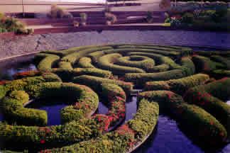 watrer maze